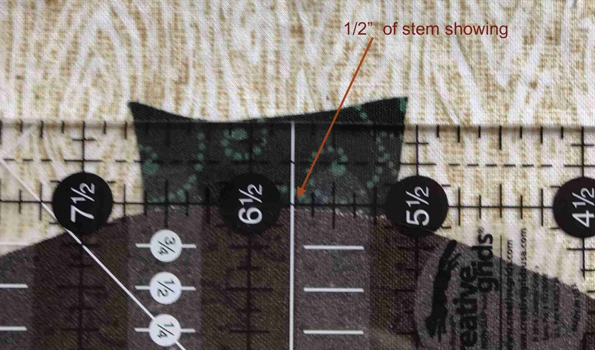 fullsizeoutput_13e6-1.jpeg
